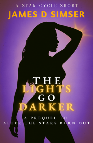 the lights go darker 300x460